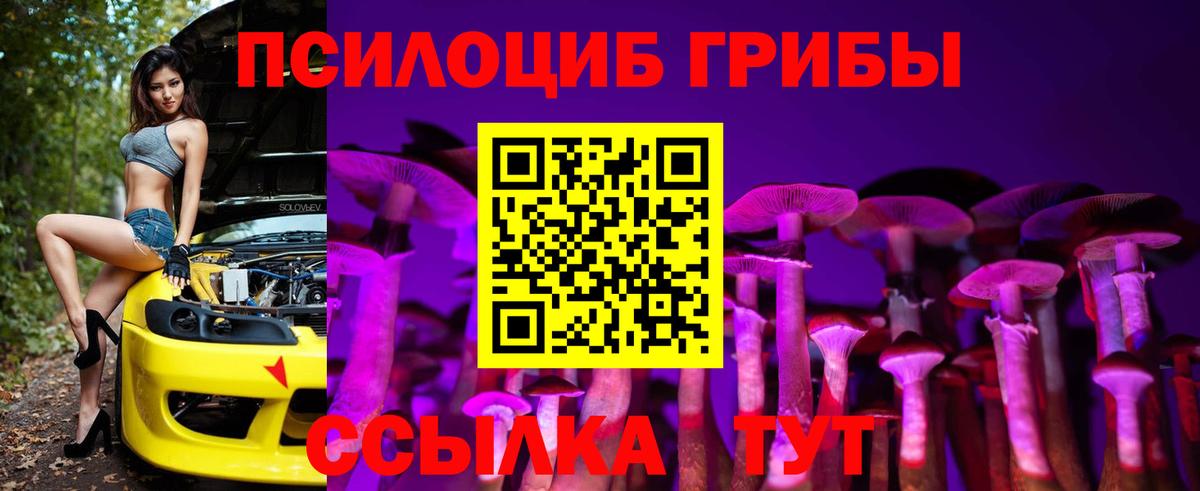 Псилоцибиновые грибы MAGIC MUSHROOMS  наркотики  Мирный  Вход с VPN 